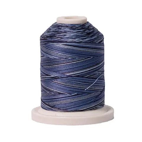 005 Denim Signature Cotton Variegated Thread Mini Spool - 40WT