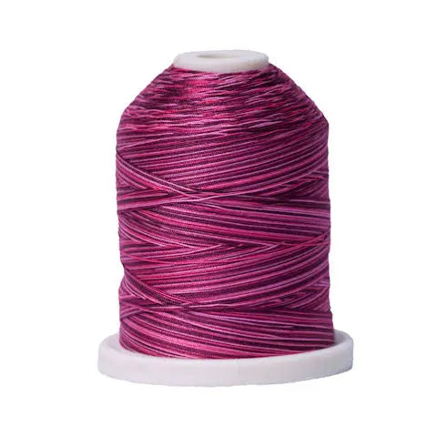079 Raspberries Signature Cotton Variegated Thread Mini Spool - 40WT