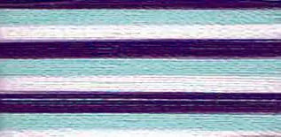 9302 Floriani Thread 40 weight 1000M - VARITHREAD WILDBERRY