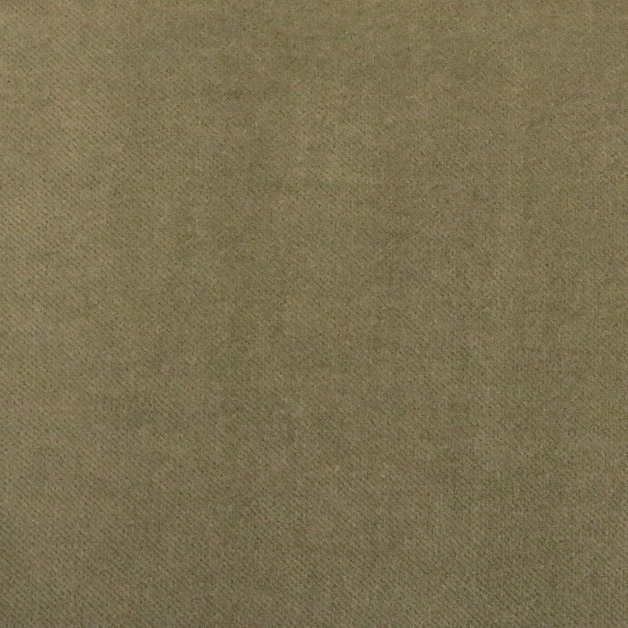 REGAL - BOWIE, 100% COTTON PLAIN VELVET UPHOLSTERY FABRIC BY TH YARD