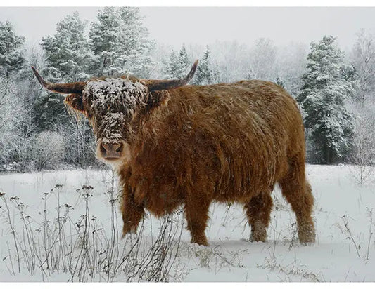 Call of the Wild Spectrum Digital Print (42” x 32”) Panel