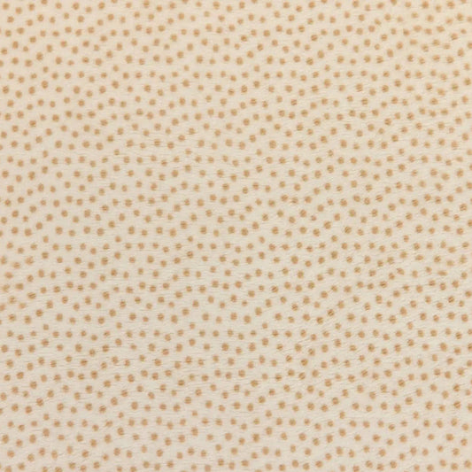 Cream Extra Wide Dottie Cuddle Sand Fabric per yard