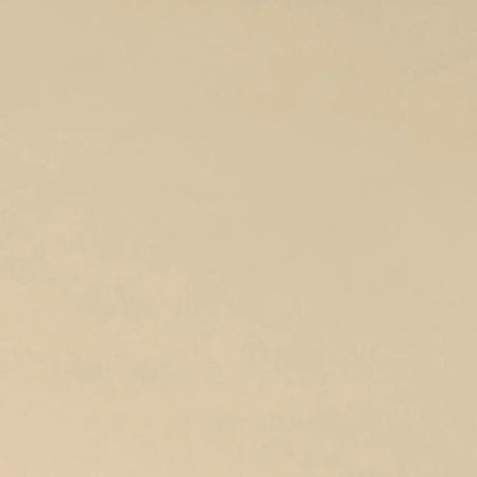 Latte Cuddle 3 Extra Wide Solid Minky Fabric Per Yard