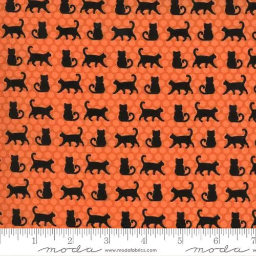 Orange Cat Parade Midnight Magic 2 Pumpkin 44"/45" Fabric Per Yard