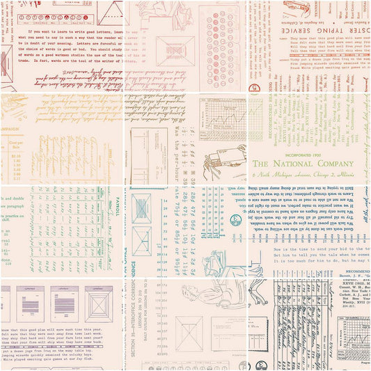TYPE/ography 2 1/2" Rolie Polie B